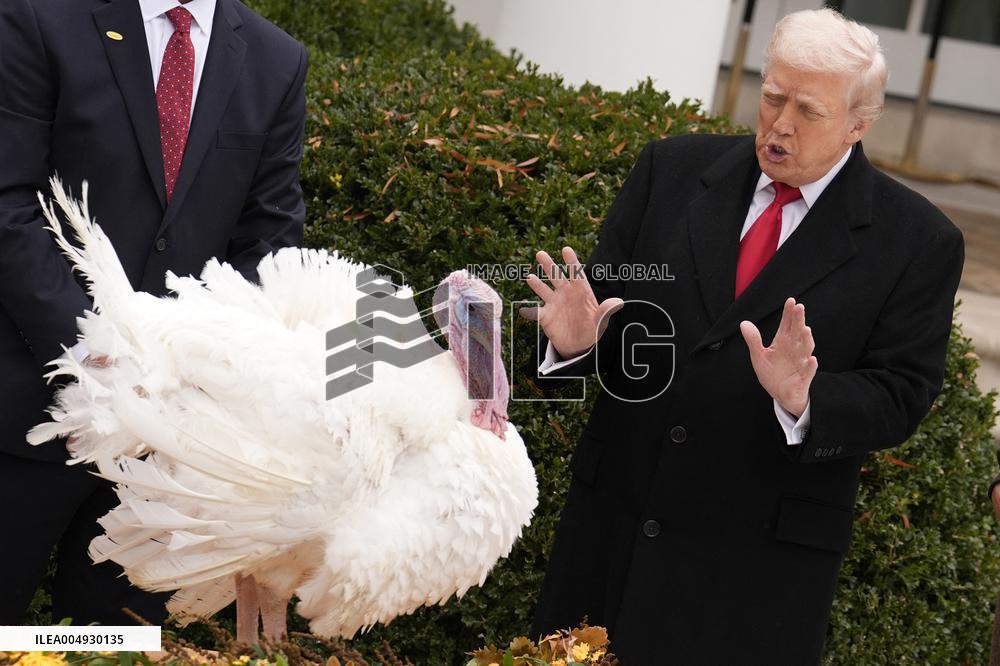 Donald Trump pardons Thanksgiving Turkeys - Washington