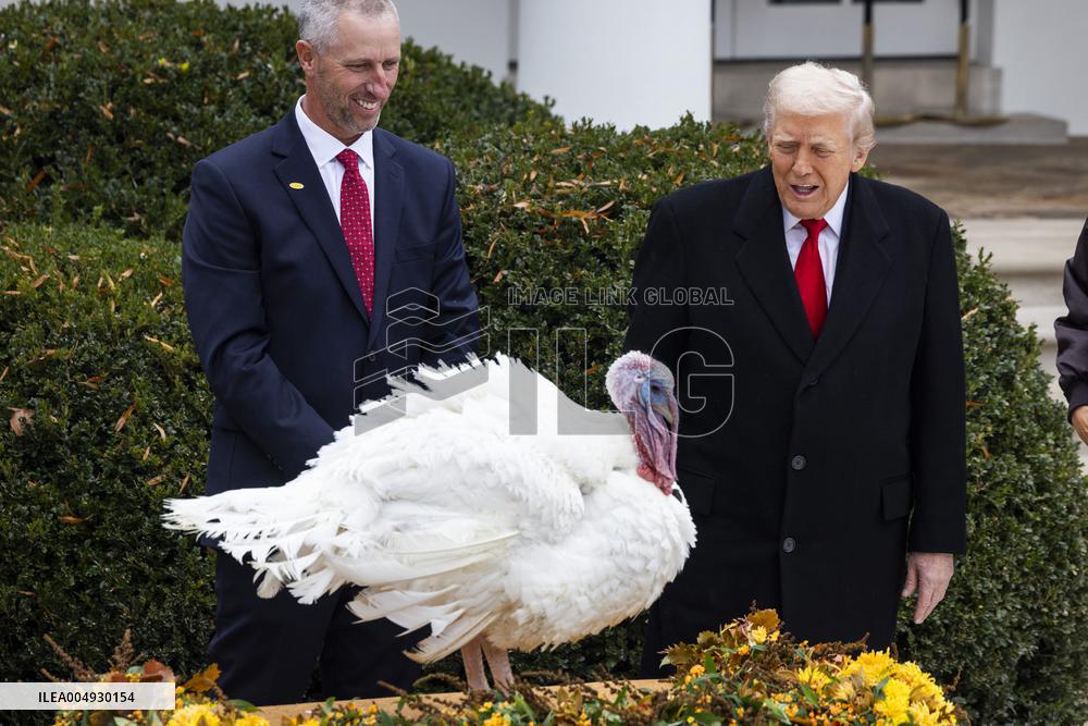 President Trump pardons turkey in the Rose Garden of the White House