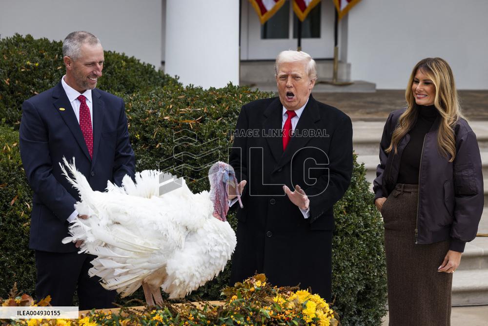 President Trump pardons turkey in the Rose Garden of the White House