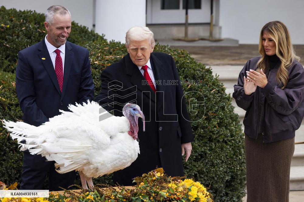 President Trump pardons turkey in the Rose Garden of the White House