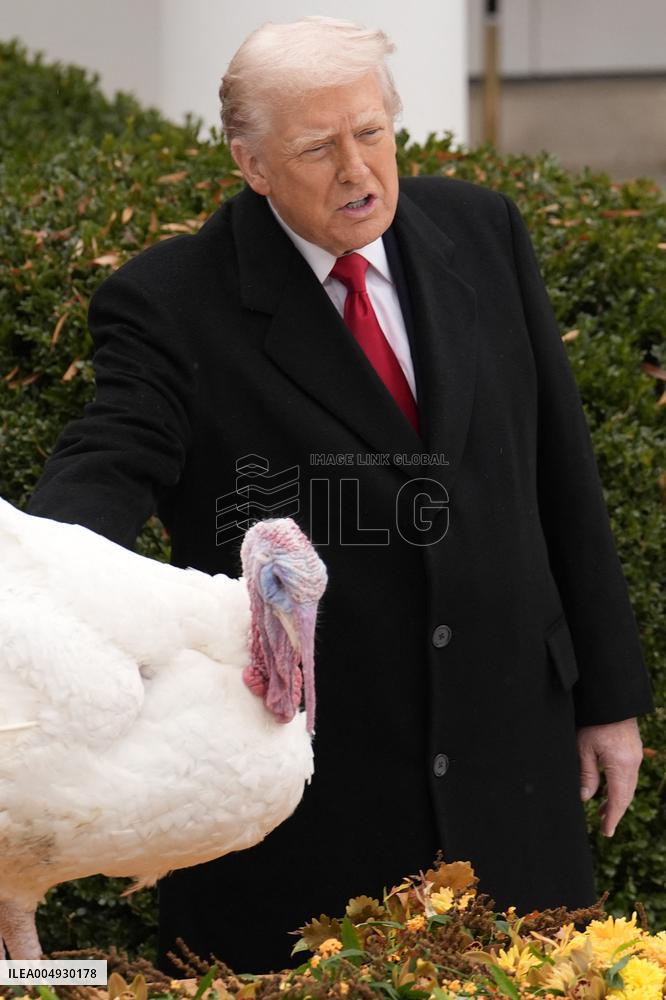 Donald Trump pardons Thanksgiving Turkeys - Washington