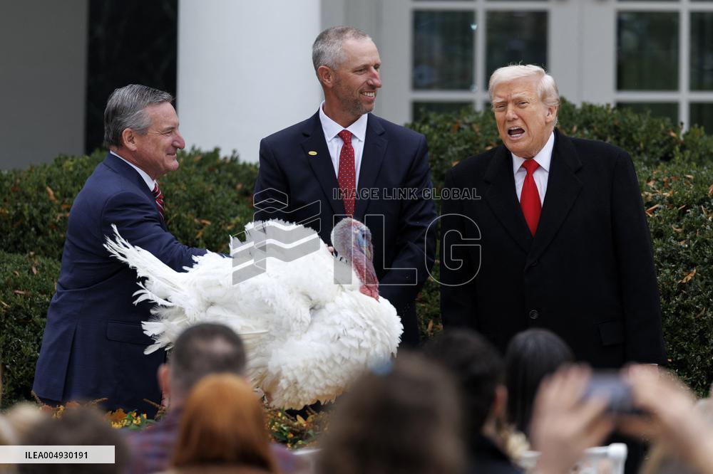 Daily White House Coverage