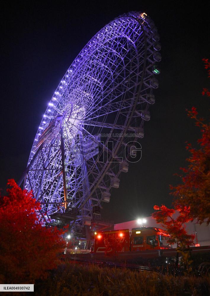 20 rescued from giant Ferris wheel in Osaka Pref.