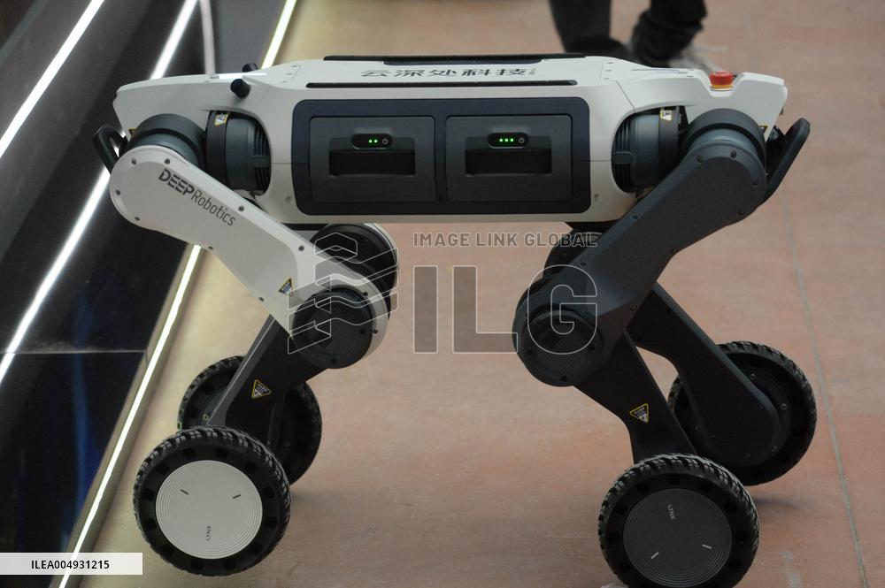 Adopt AI International Summit Held In Paris - France