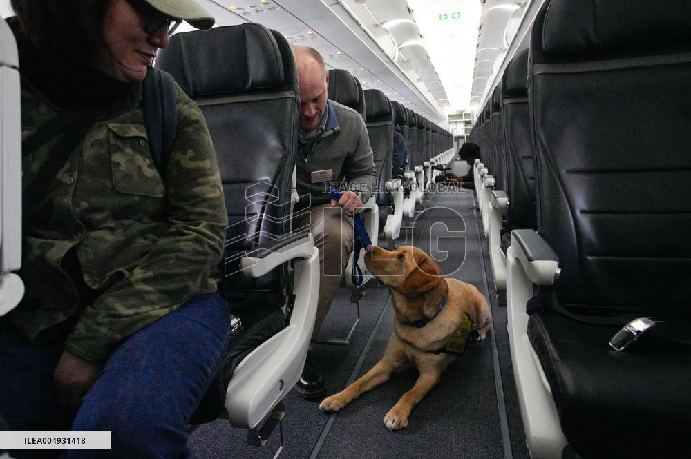 Training Assistance Dogs on Board an Aeroplane - Vancouver