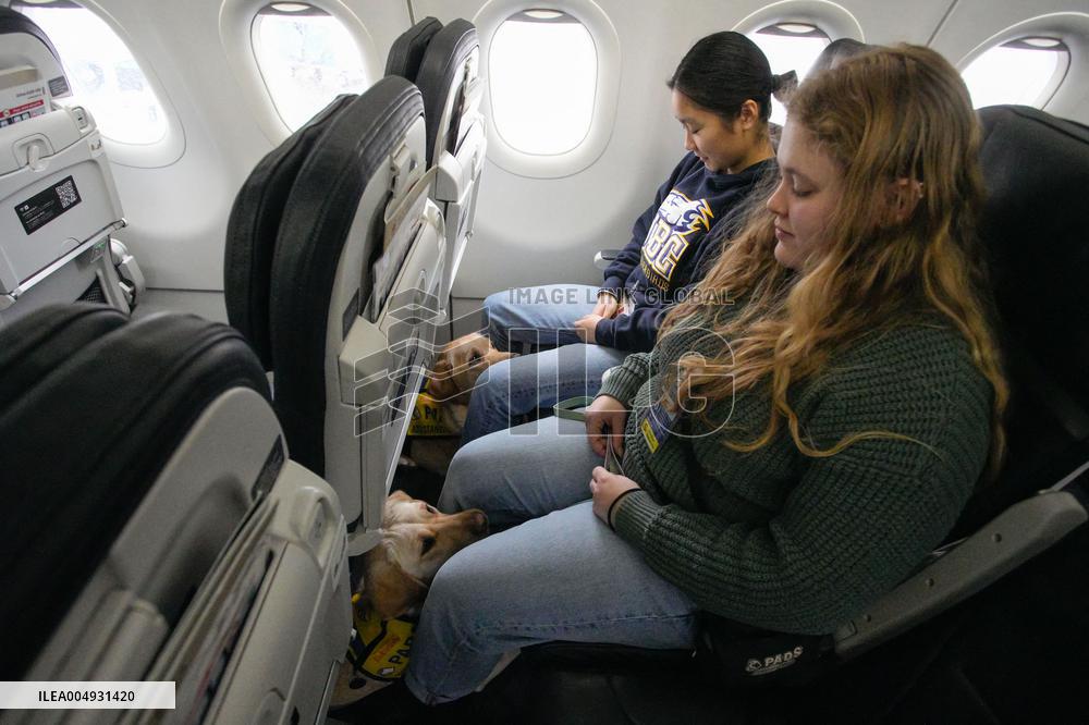 Training Assistance Dogs on Board an Aeroplane - Vancouver