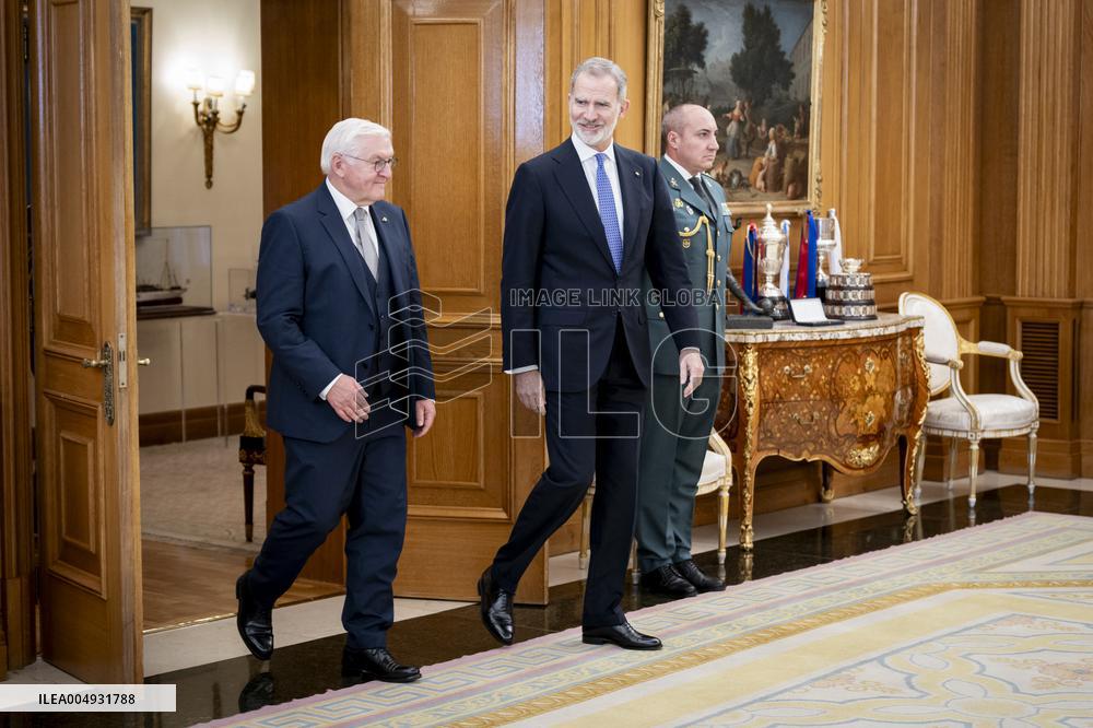 King Felipe Meets With German President Steinmeier - Madrid