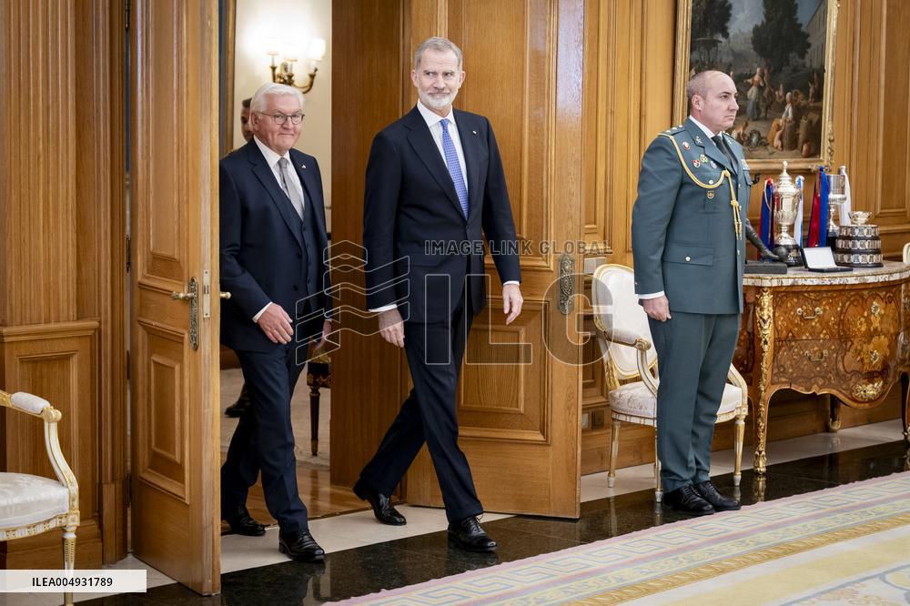 King Felipe Meets With German President Steinmeier - Madrid