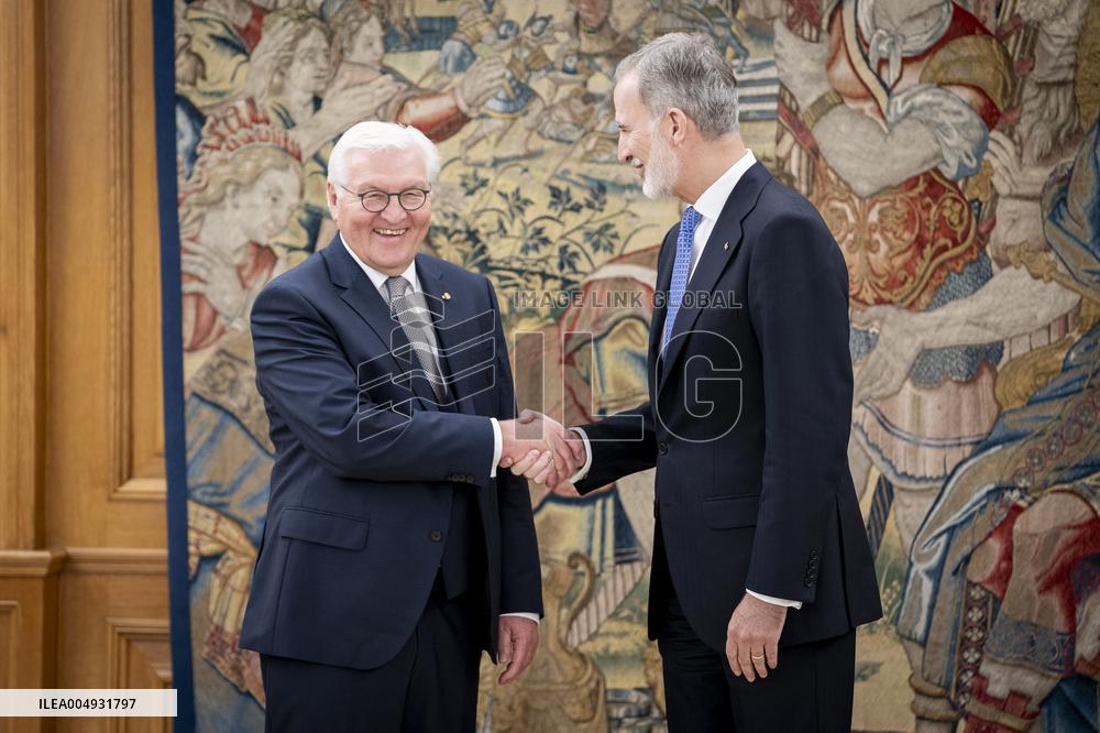 King Felipe Meets With German President Steinmeier - Madrid