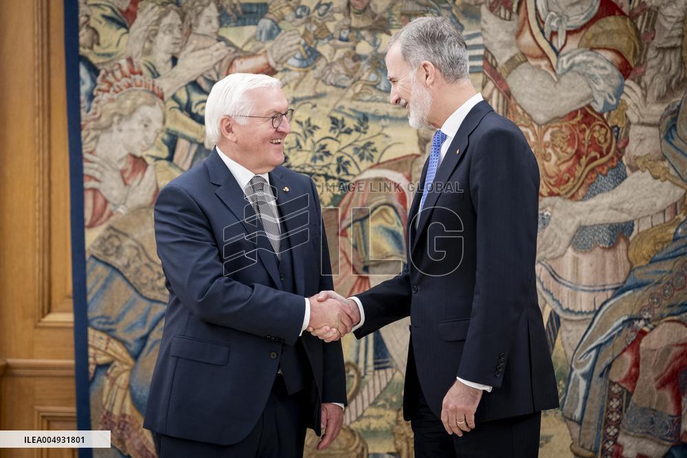 King Felipe Meets With German President Steinmeier - Madrid