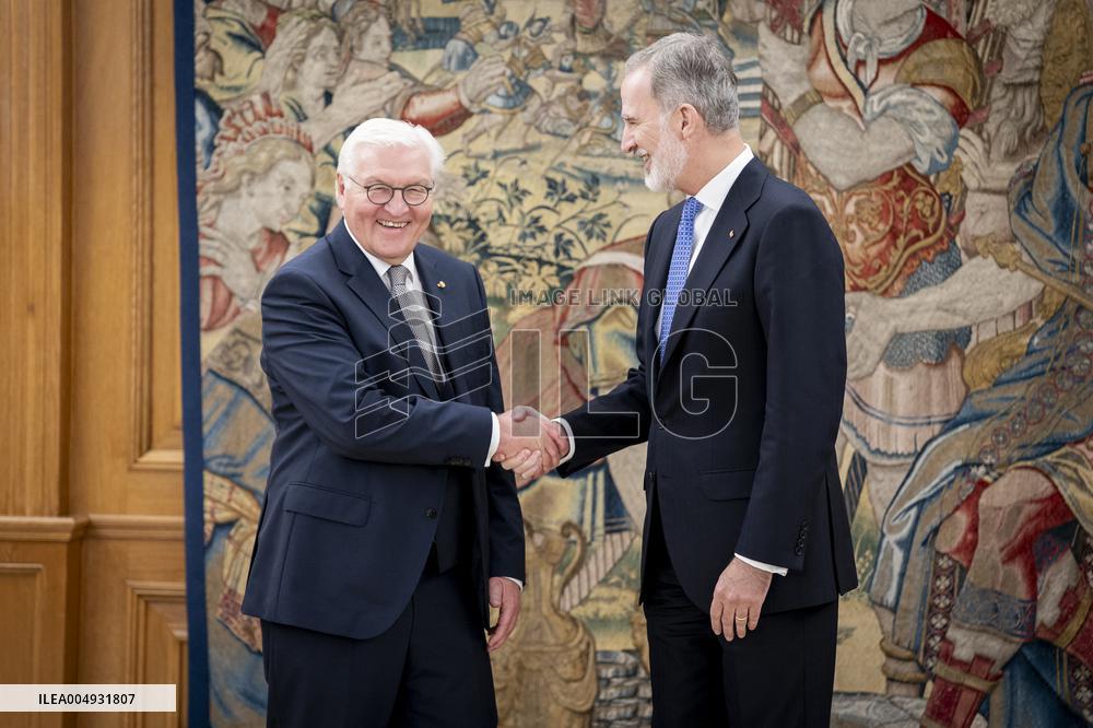 King Felipe Meets With German President Steinmeier - Madrid