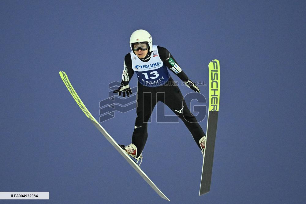 SKI JUMPING WORLD CUP LARGE HILL