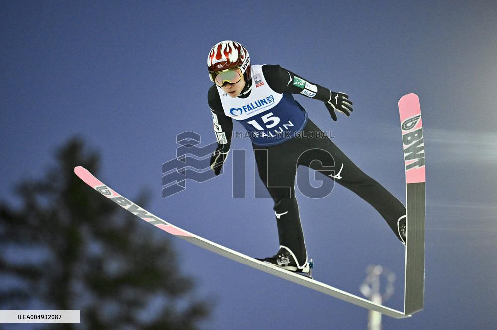 SKI JUMPING WORLD CUP LARGE  HILL