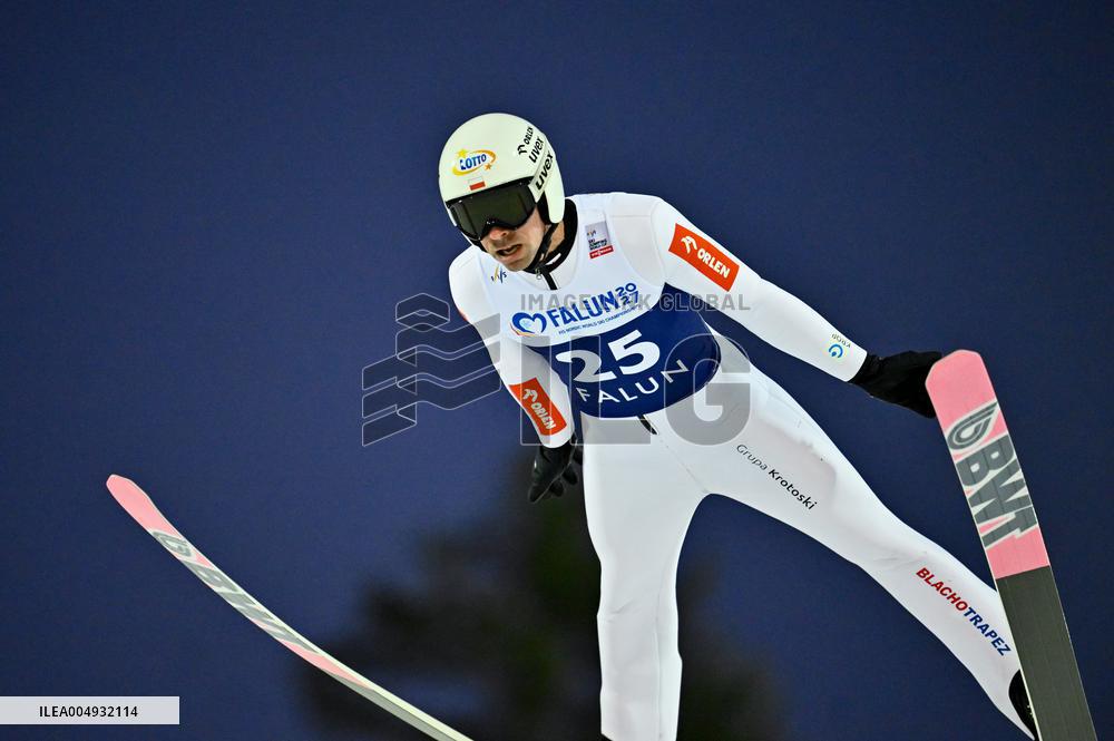 SKI JUMPING WORLD CUP LARGE HILL