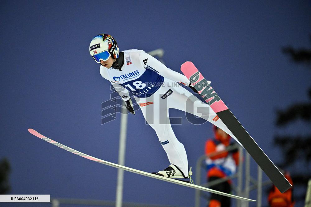 SKI JUMPING WORLD CUP LARGE HILL
