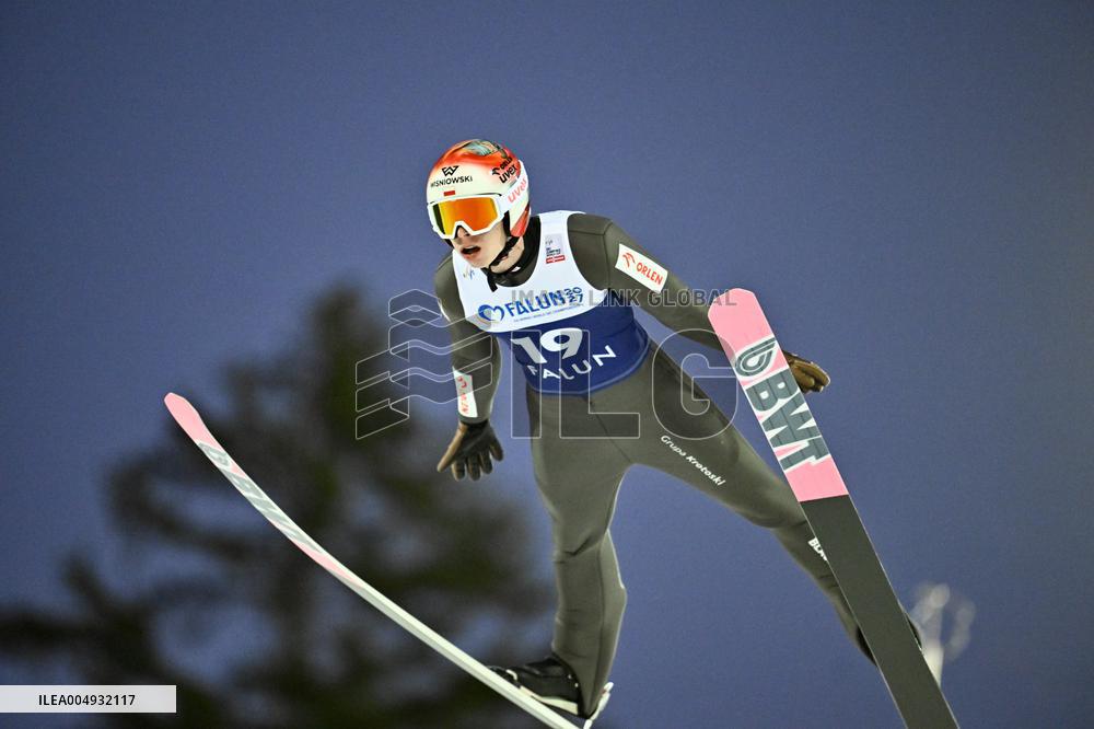 SKI JUMPING WORLD CUP LARGE HILL