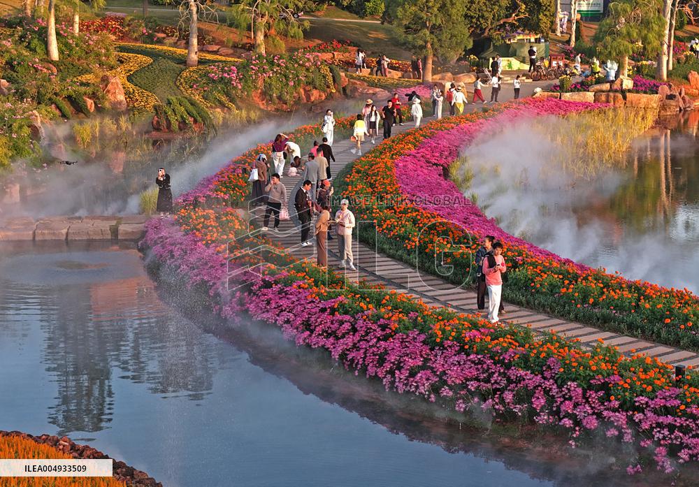 Flowers At The Qingxiu Mountain Scenic Area - China