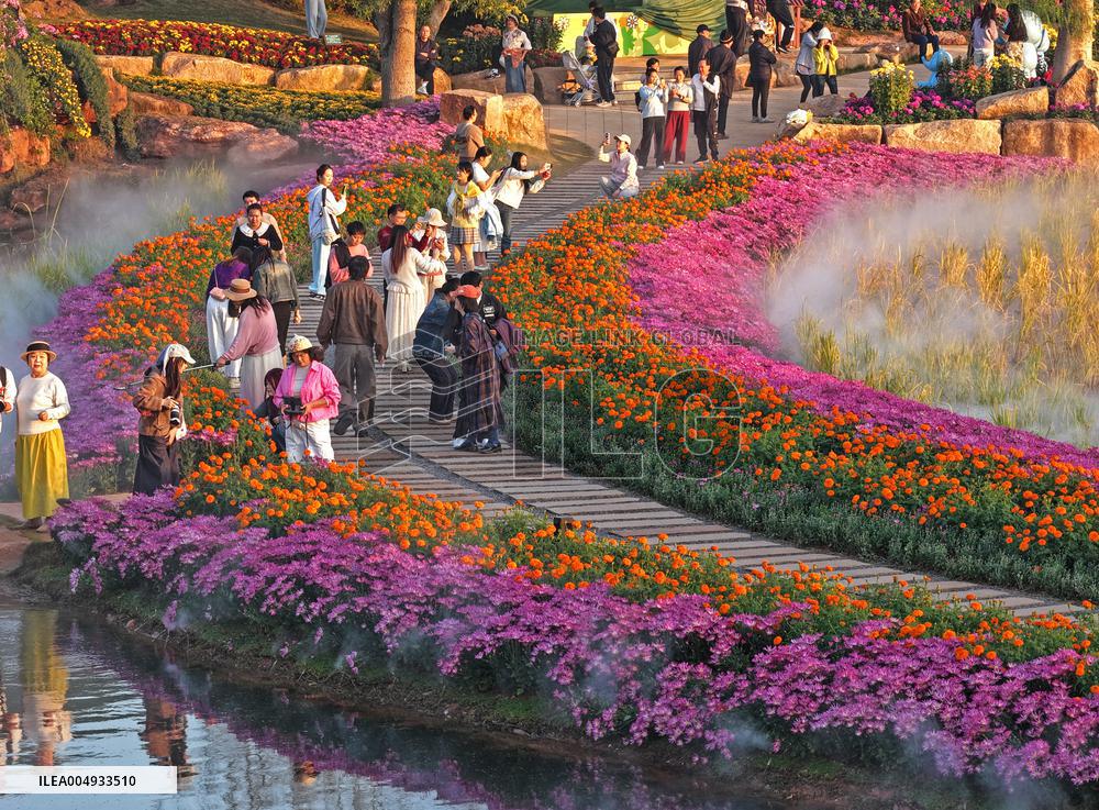 Flowers At The Qingxiu Mountain Scenic Area - China