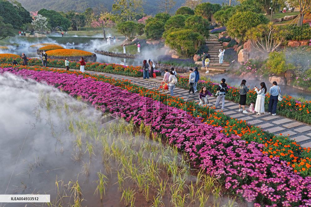 Flowers At The Qingxiu Mountain Scenic Area - China