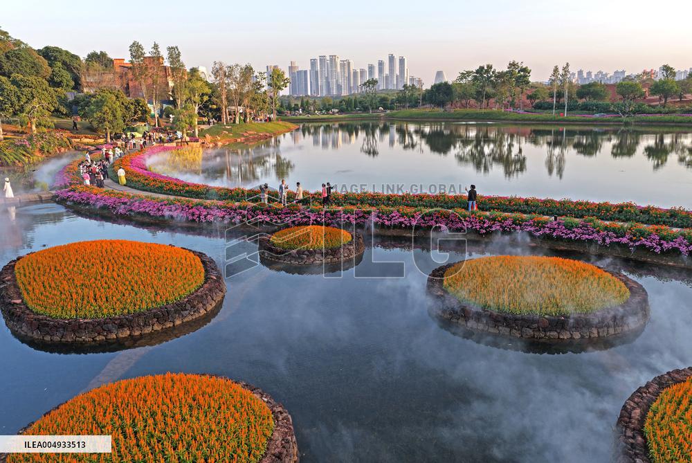 Flowers At The Qingxiu Mountain Scenic Area - China