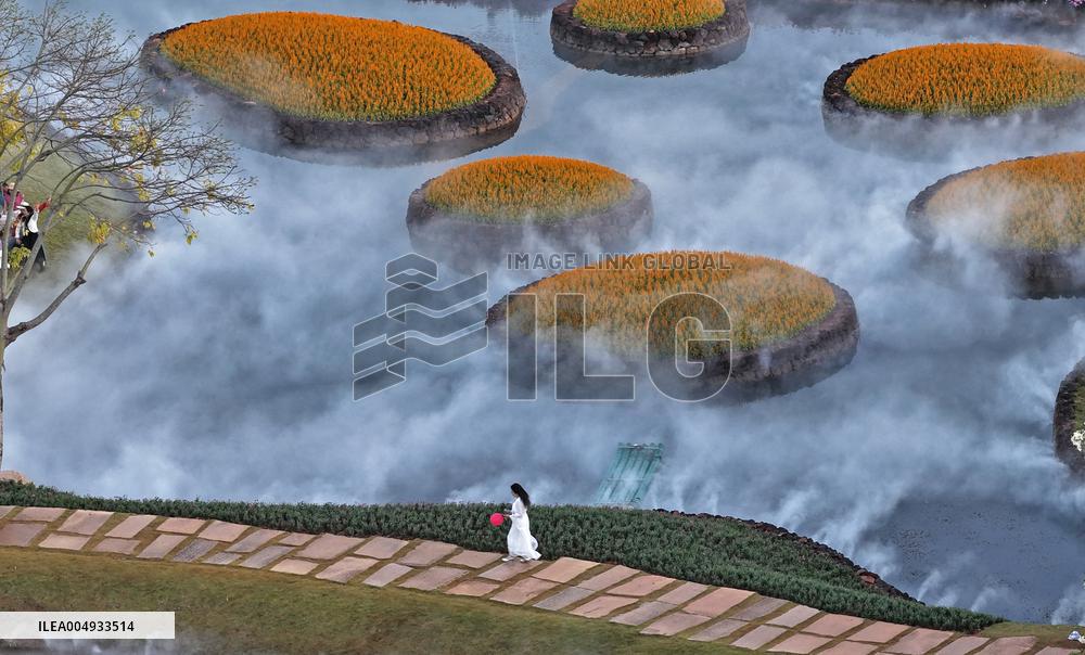 Flowers At The Qingxiu Mountain Scenic Area - China