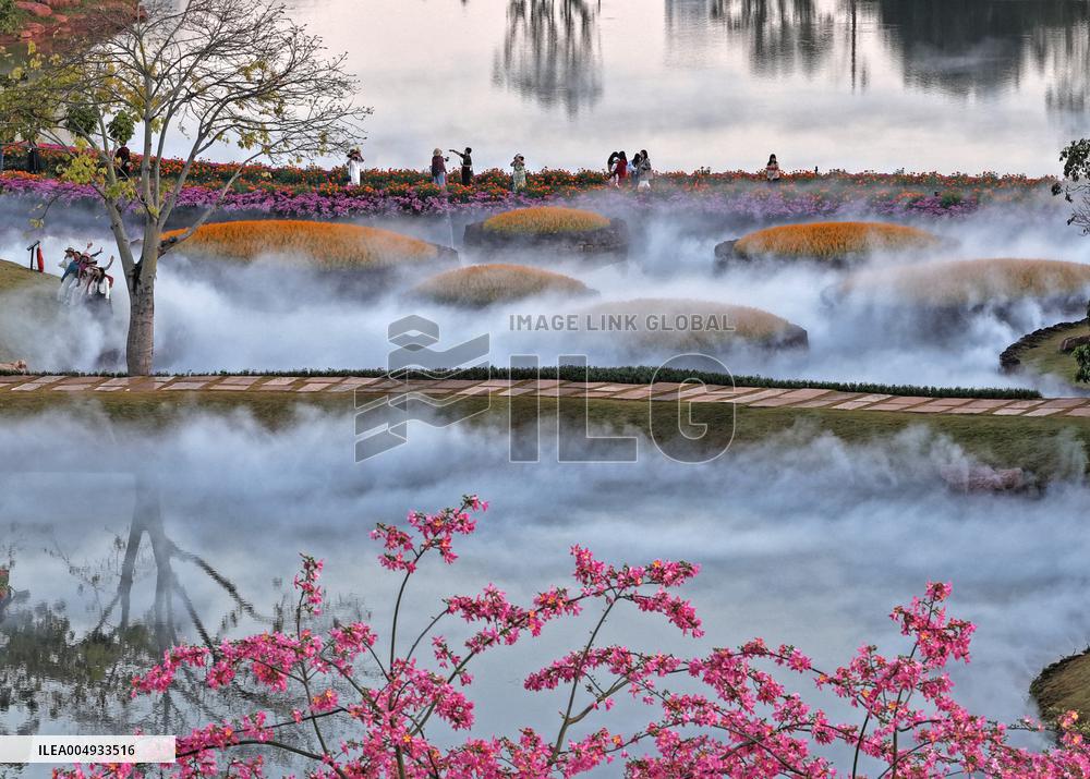 Flowers At The Qingxiu Mountain Scenic Area - China