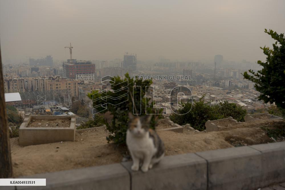 Air Pollution in Tehran