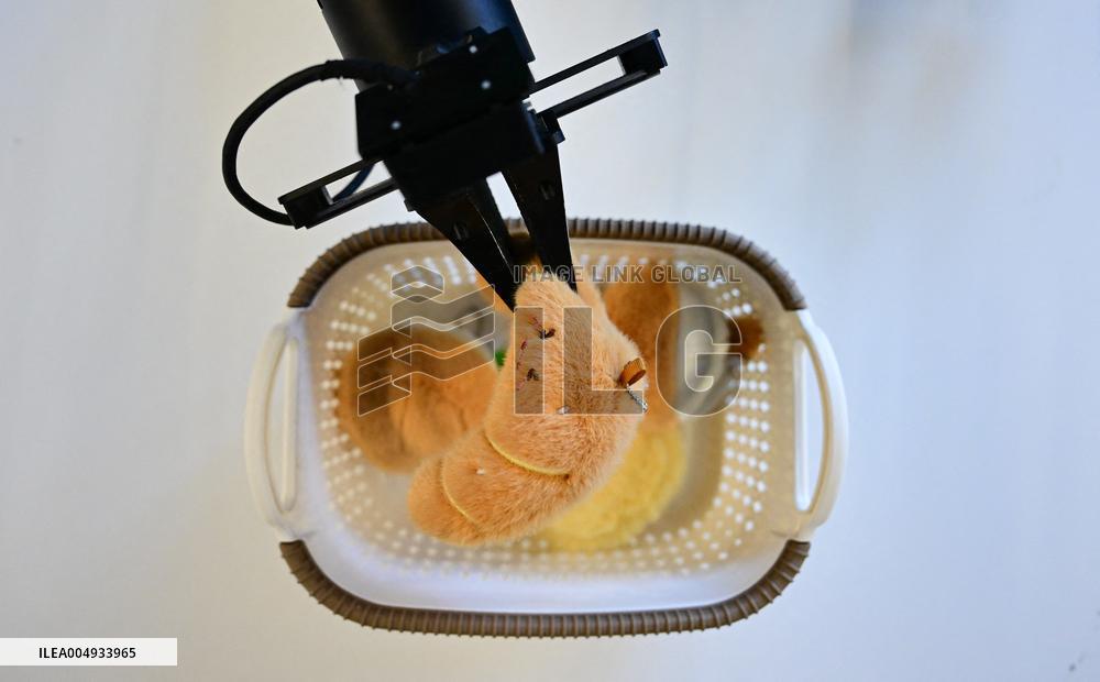 Intelligent Robot Industry - China