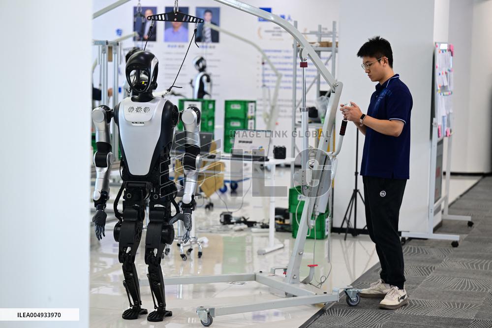 Intelligent Robot Industry - China
