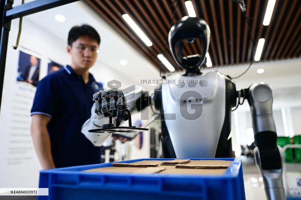 Intelligent Robot Industry - China