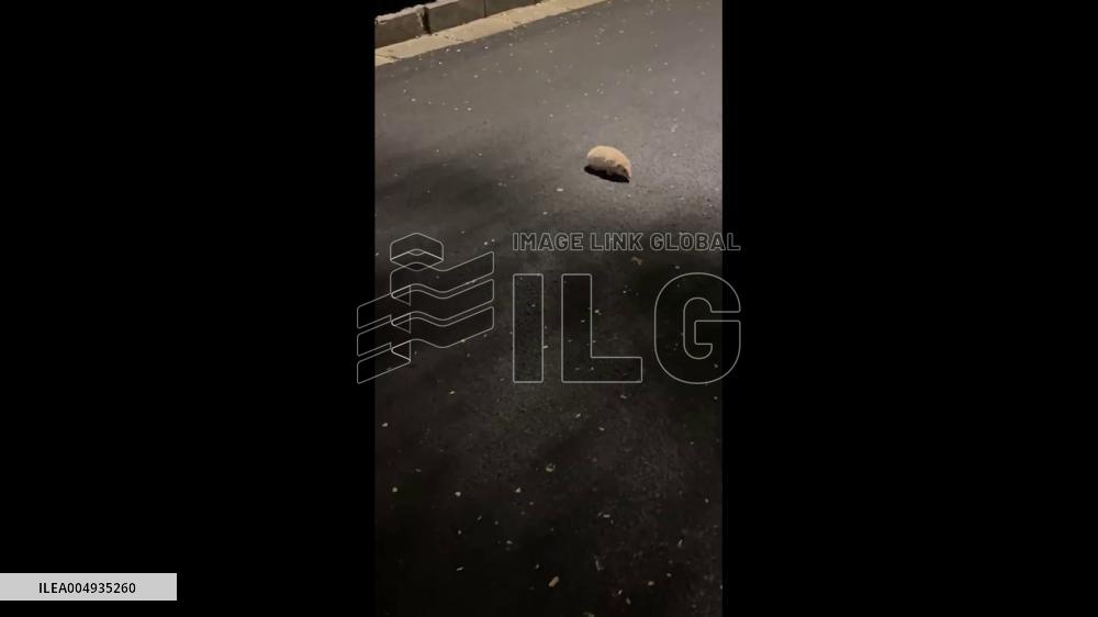 China: Tiny Hedgehog Spotted on Quiet Night Street in Shanxi
