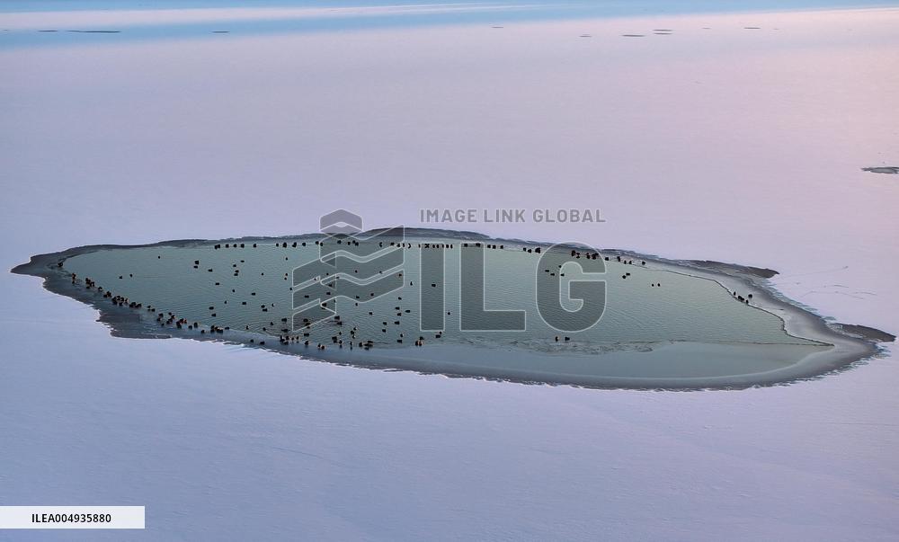 Harbin Section Of Songhua River - China