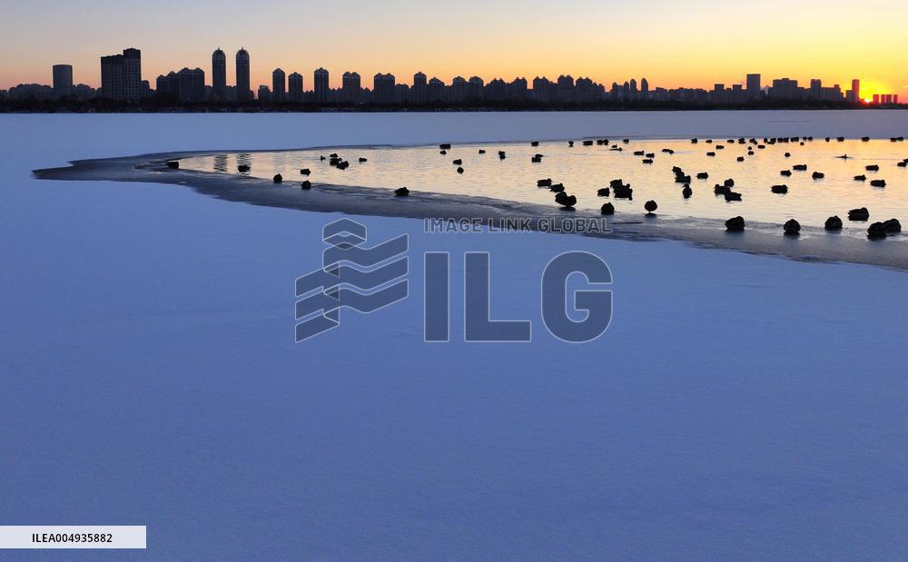 Harbin Section Of Songhua River - China