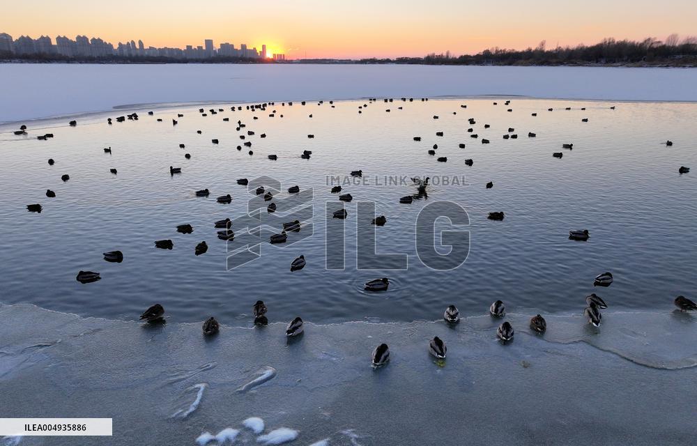 Harbin Section Of Songhua River - China