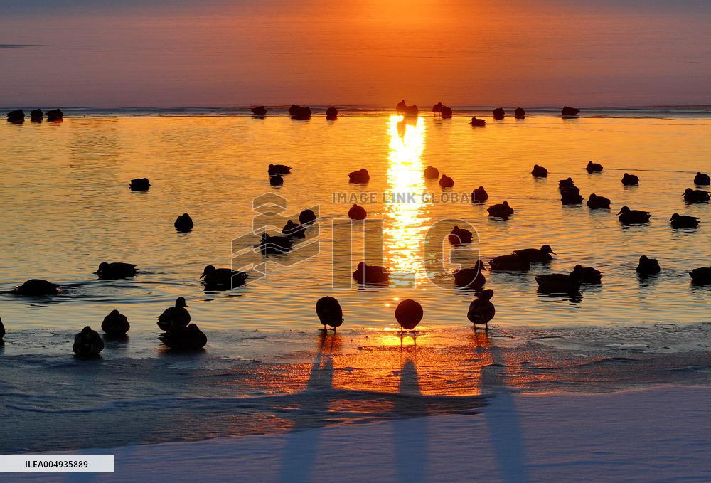 Harbin Section Of Songhua River - China