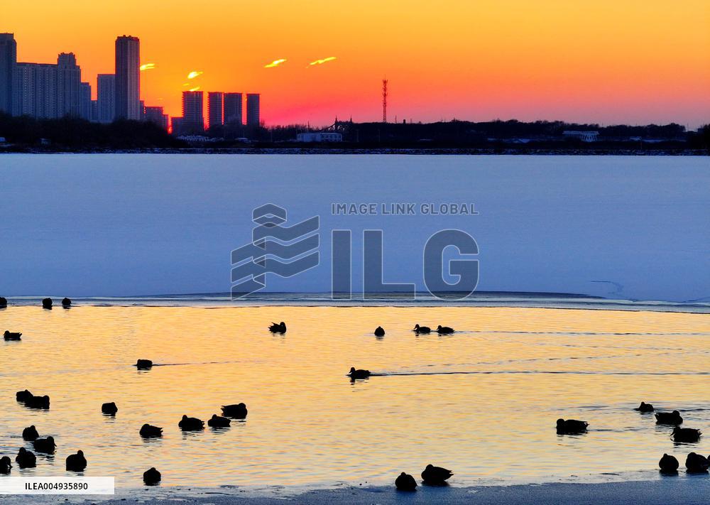 Harbin Section Of Songhua River - China
