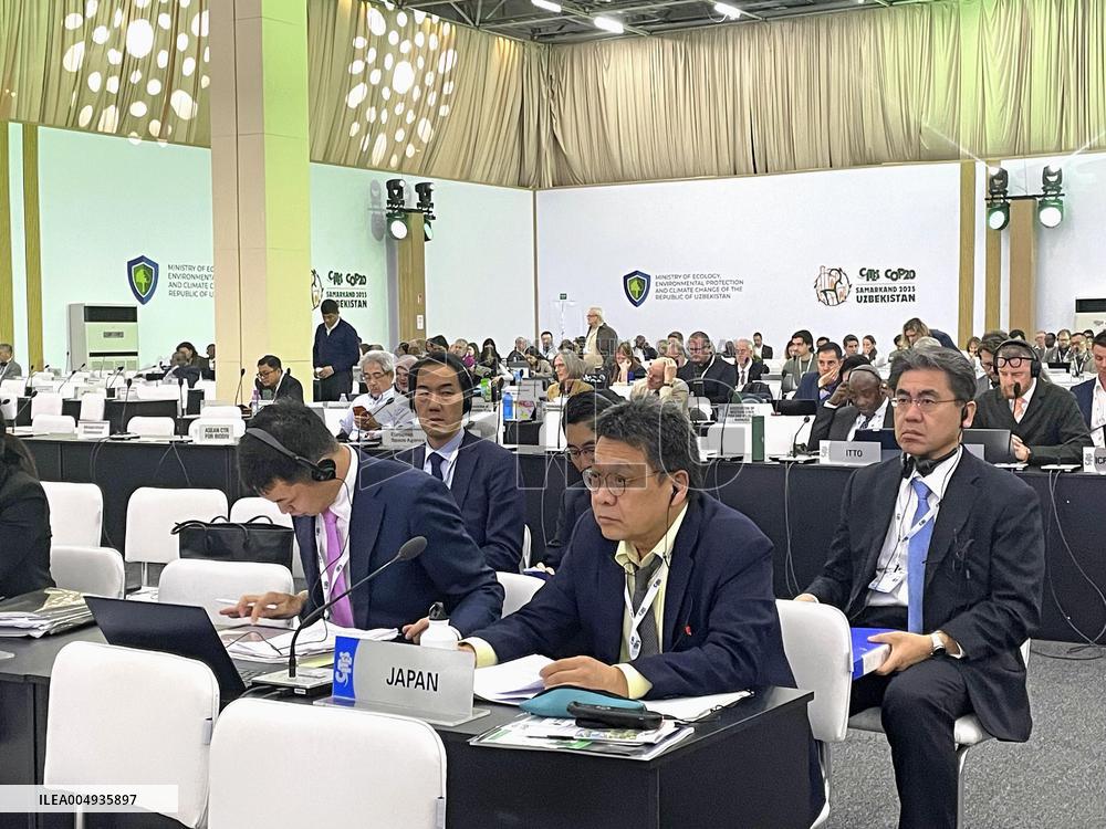 Int'l treaty panel rejects trade curbs on all eels