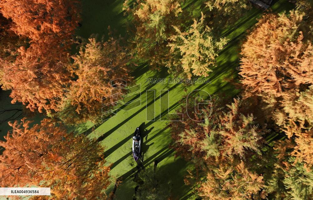 Tourists Visit The Qingshan Lake - China