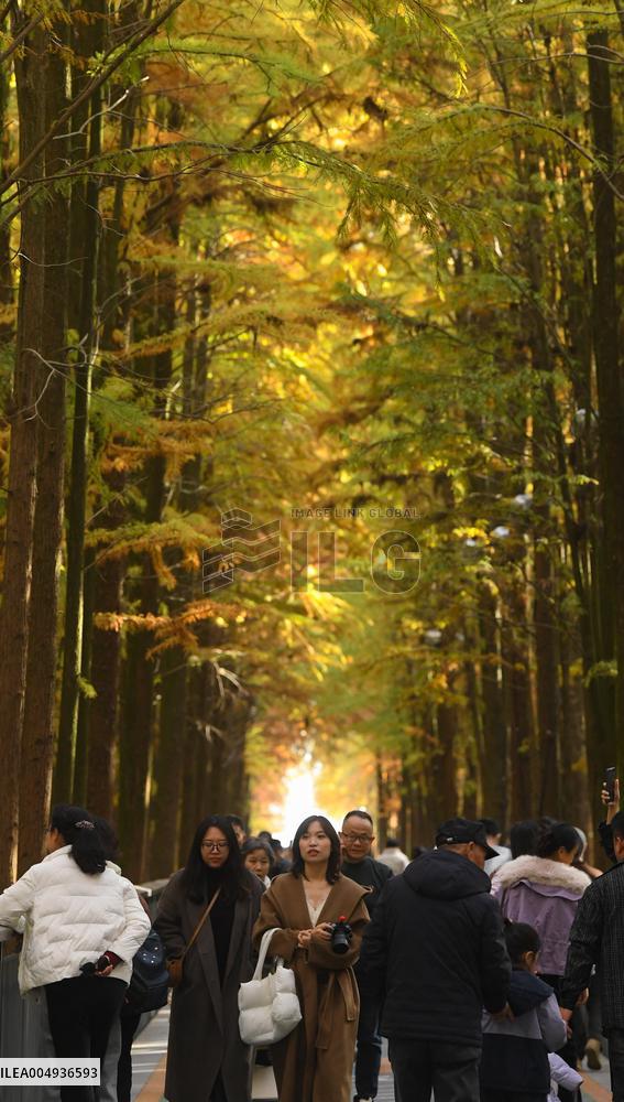 Tourists Visit The Qingshan Lake - China