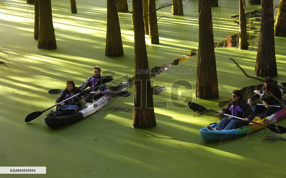 Tourists Visit The Qingshan Lake - China