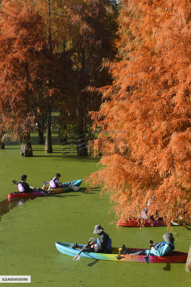 Tourists Visit The Qingshan Lake - China