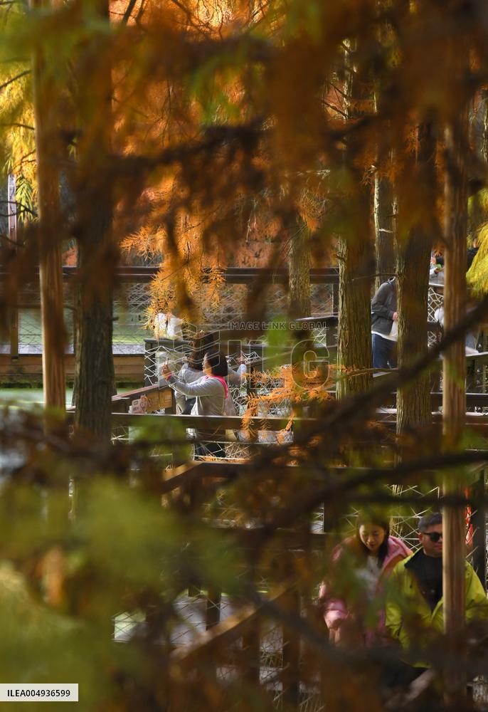 Tourists Visit The Qingshan Lake - China
