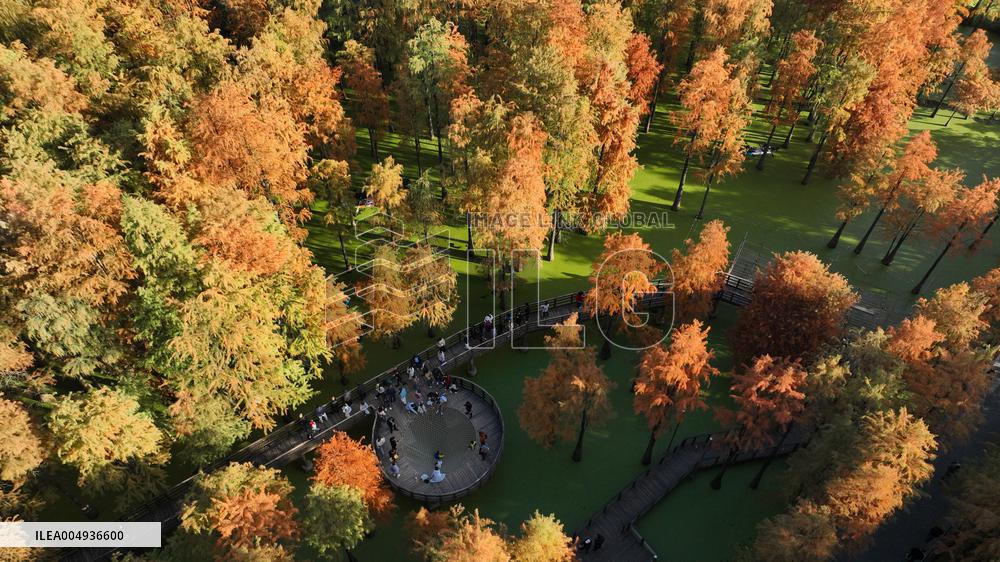 Tourists Visit The Qingshan Lake - China