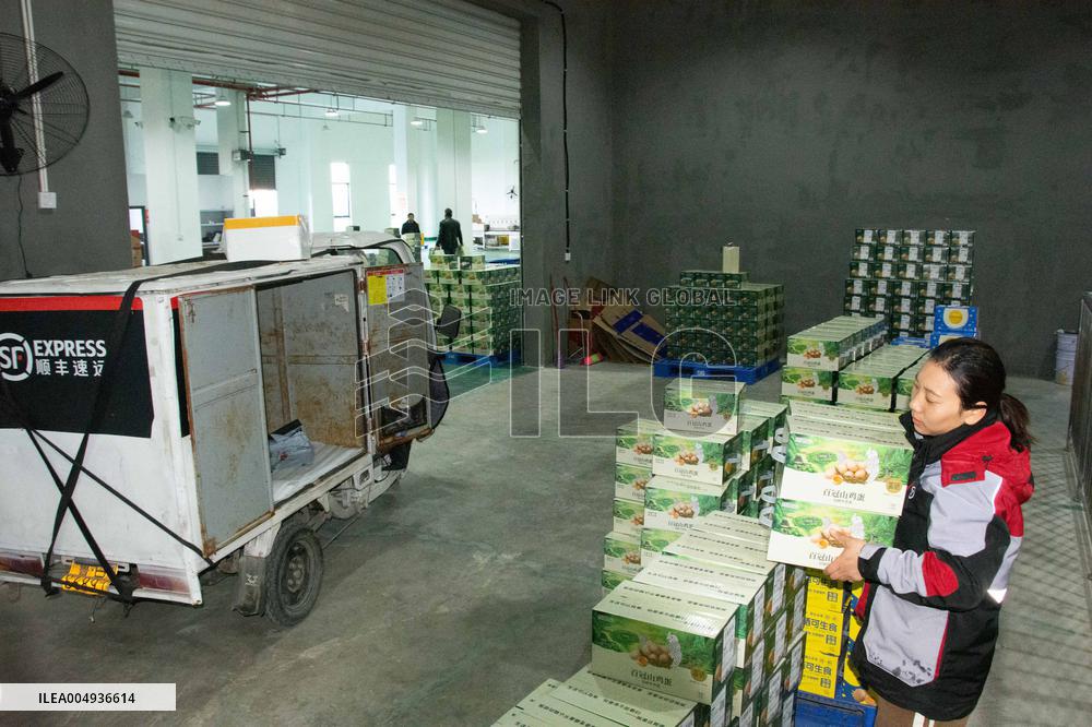 Farms For Egg-laying Hens - China