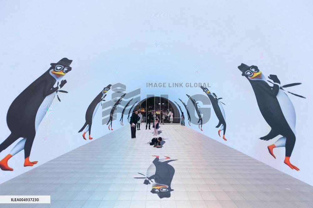 Underground Passage 3D Footage