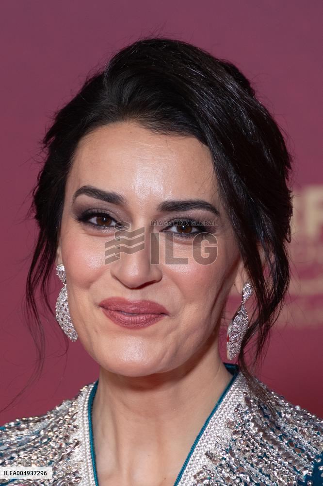 22nd Marrakech International Film Festival Opening Ceremony