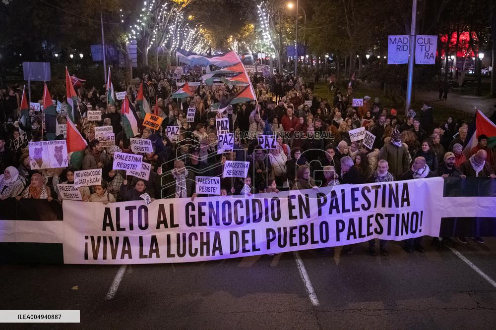 Pro-Palestinian Demonstrations - Spain