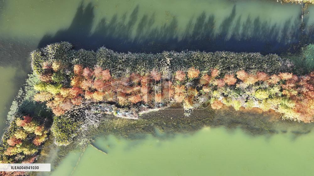 Hunan Songya Lake National Wetland Park - China