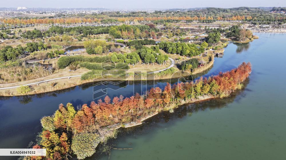 Hunan Songya Lake National Wetland Park - China
