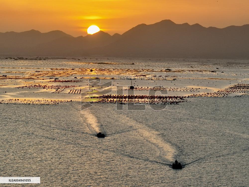 Fish Farm in Xiapu County - China